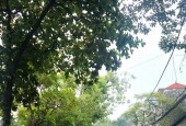 Cực Gấp! Mặt Phố Thụy Phương- Bắc Từ Liêm. Kinh Doanh Đỉnh. Mặt Tiền Rộng.